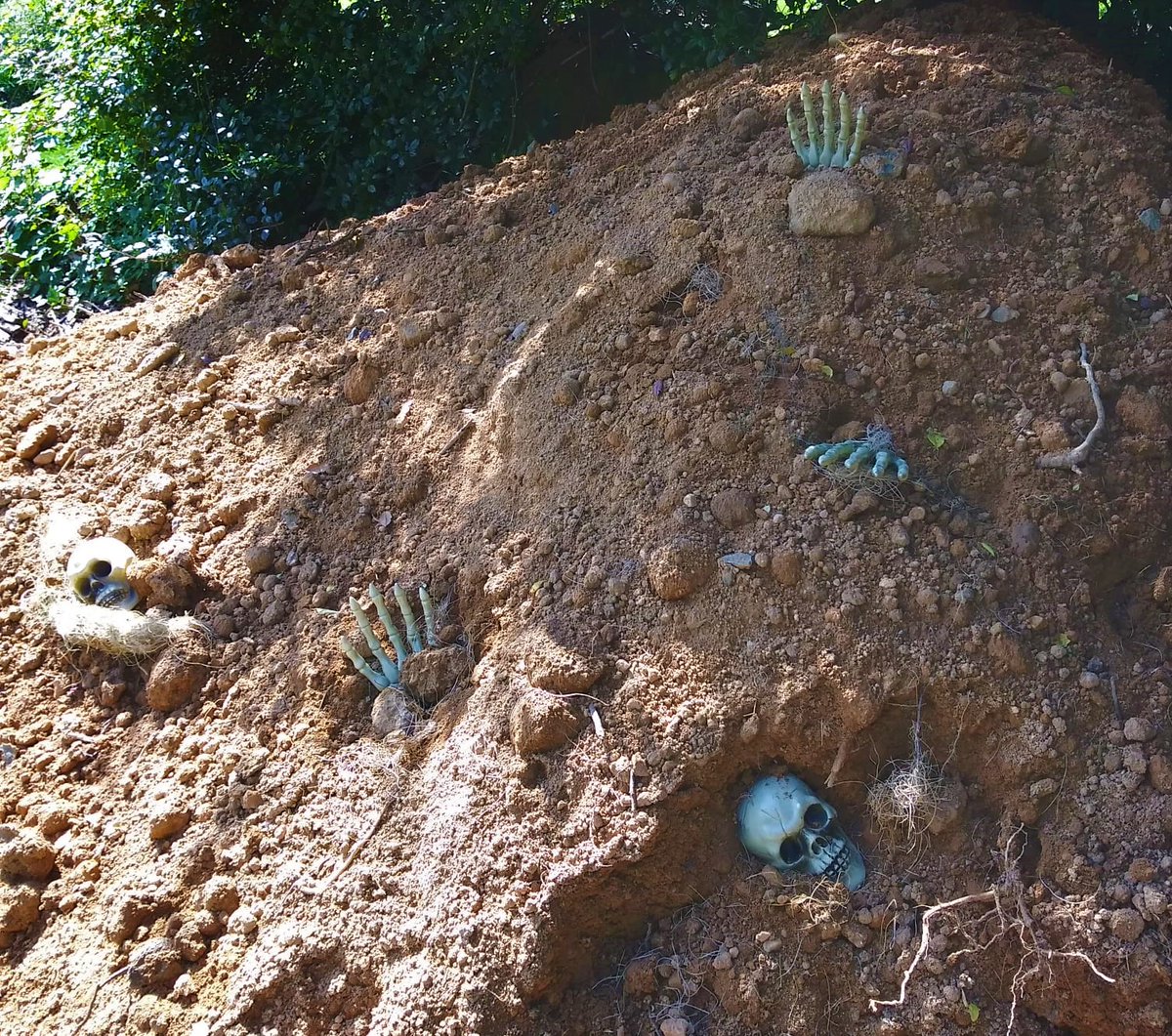 ...trying to decide whether to remove the skulls and skeleton hands, or bury them deeper in. That's a $5 investment there. To remind you, the dirt currently looks like this: