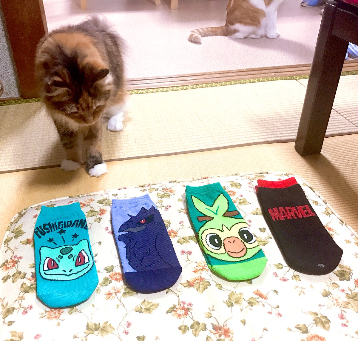 木村愛美 Pa Twitter 靴下欲しくてドンキ行ったらキャラ物いっぱいあってテンション上がった W 取り敢えず剣盾で使ってるポケモンと大好きなmarvelのデザインを4足買いました 満足じゃ 靴下 ドン キホーテ ポケモン マーベル T Co 木村愛美 Pa Twitter 靴下欲しくてドンキ行ったらキャラ物いっぱいあってテンション上がった W 取り敢えず剣盾で使ってるポケモンと大好きなmarvelのデザインを4足買いました 満足じゃ 靴下 ドン キホーテ ポケモン マーベル T Co