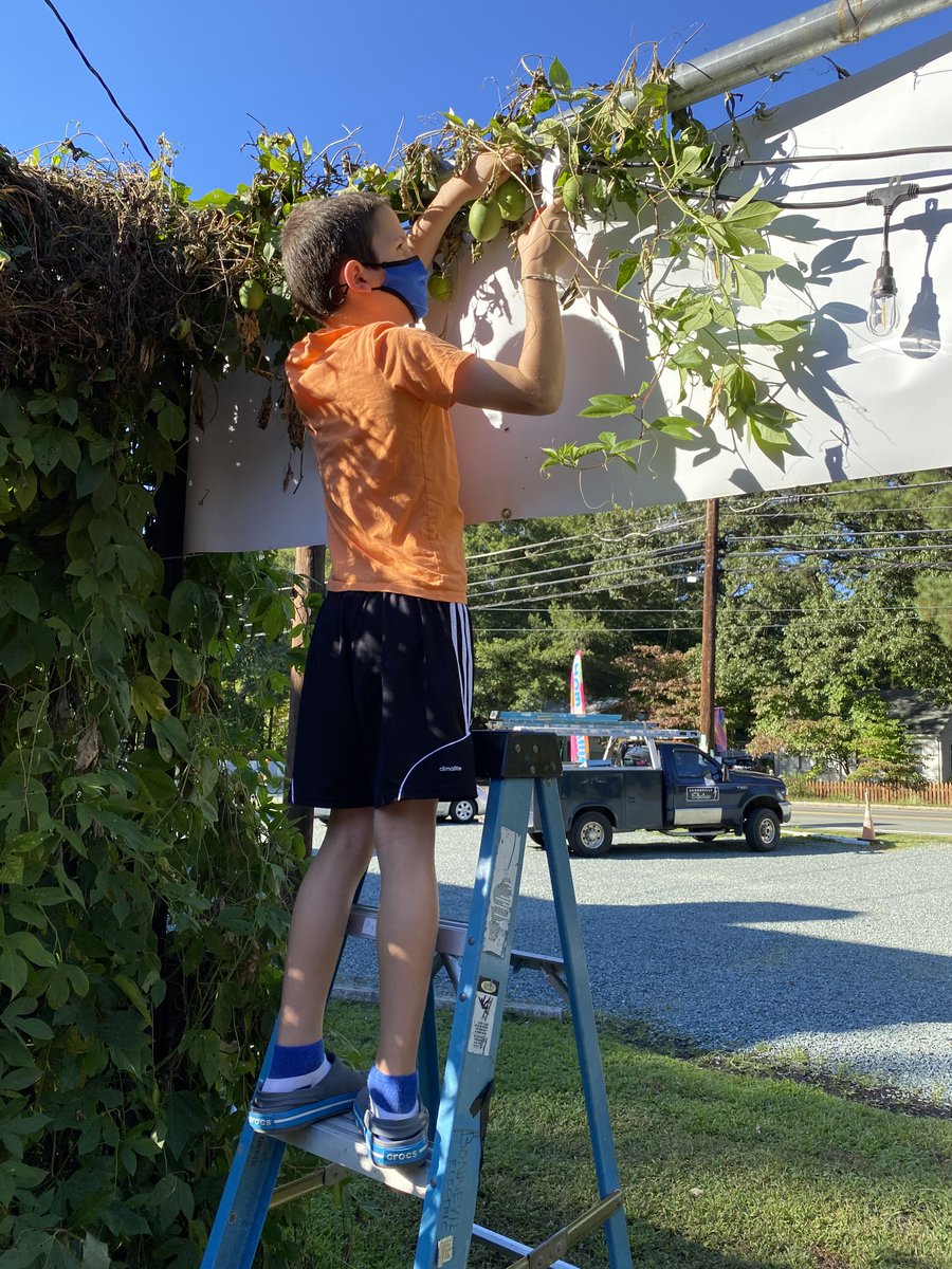DukeSchool1's tweet photo. Dragon Spotlight: Johnny’s, a local coffee shop, learned that Grayson, DS 3rd grader, loved everything electrical & asked him to help create the design for their outdoor lighting. Grayson created a plan & met w/ the electrician this week! #OnlyAtDS #dsprojectwork #designthinking https://t.co/0CAdben7hH