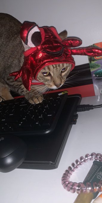 @Lexis2510 Yesss happy Halloween ❤️😭 https://t.co/y4V2ophZWg<a class="tags" target="_blank" title="On Twitter" href="/?out=eyJ0eXAiOiJKV1QiLCJhbGciOiJIUzUxMiJ9.eyJpYXQiOjE3MjUxMTE2ODAsImlzcyI6InR3cG9ybnN0YXJzLmNvbSIsIm5iZiI6MTcyNTExMTY4MCwiZXhwIjoxNzU2NjQ3NjgwLCJyZWRpcmVjdF91cmwiOiJodHRwczovL3R3aXR0ZXIuY29tL0xleGlzMjUxMCJ9.aFUs99cjnWGF_sQODb9mvOCWWqtgSF84oVQzezybSfNd5CwWjn-nDIVF9cFlZrTRUV1GupWm1eyG75c-5xi-XA">@Lexis2510</a><a href="/tag/influencer"class="tags"><span>#influencer</span></a><a href="/tag/onlyfans"class="tags"><span>#onlyfans</span></a><a href="/tag/thicc"class="tags"><span>#thicc</span></a><a href="/tag/contentcreator"class="tags"><span>#contentcreator</span></a><a href="/tag/onlyfansgirl"class="tags"><span>#onlyfansgirl</span></a>