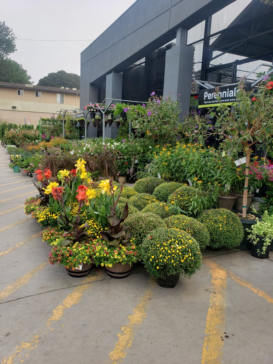 #mightycostamesagarden ready for the weekend!!! @downeypackerfan <a href="/Steven_Mousseau/">Steven Mousseau</a> <a href="/savemilkweed/">Monarch Butterfly</a> <a href="/MonarchHelp/">Monarch Butterfly</a>   <a href="/JeffKellerHD/">Jeff Keller</a> <a href="/depot_garden/">CostaMesa 6664</a> <a href="/gardenclubs/">GARDEN CLUBS</a> <a href="/THD_Gabby/">Gabrielle Sandvik</a> <a href="/TylerBrittTHD/">Tyler Britt</a> <a href="/RyanGriffinTHD/">Ryan Griffin</a>