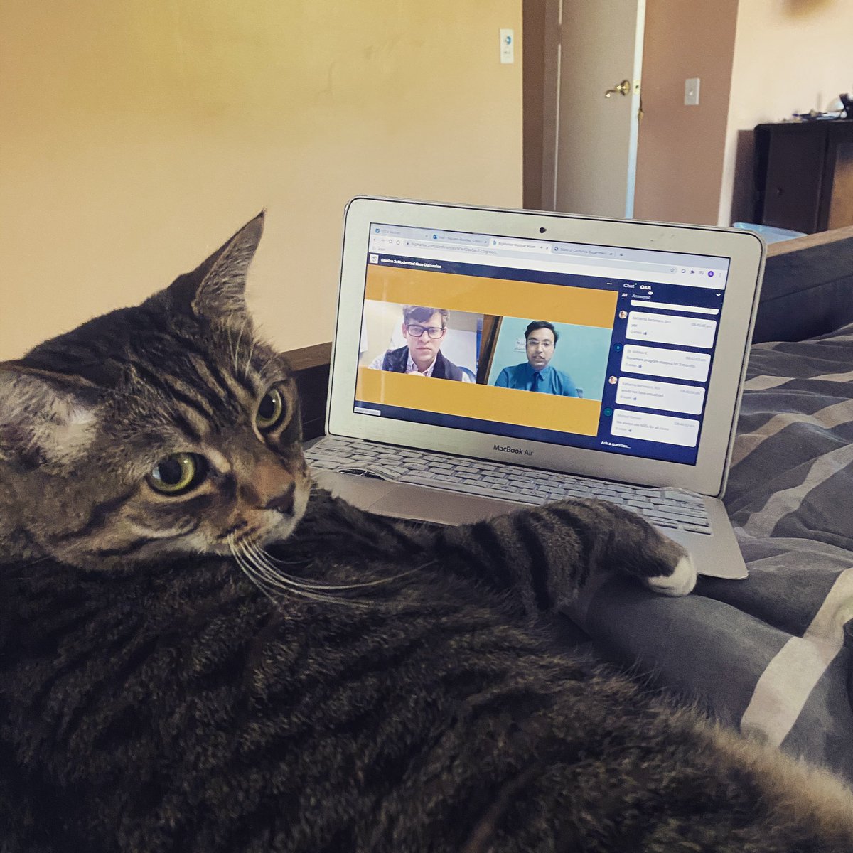 Advantages of virtual conferencing