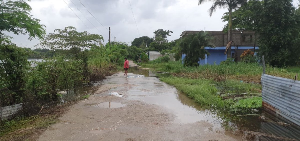 Merdelacruz's tweet photo. Urgen costales de arena, El Cedro Nacajuca detrás del panteón, el camino está por desaparecer familias pueden quedar incomunicadas @TabascoHOY @Gobierno_Tab  @ProcivilTabasco @adan_augusto @AyttoNacajuca  @xevtfm @noti13tabasco @AztecaTabasco https://t.co/CtRhz3Nce0