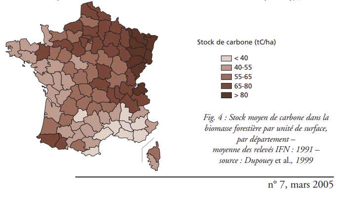 Les résultats ci-dessus sont issus de simulations mais coïncident avec les ordres de grandeur d'observations bien connues.On peut garder en tête un ordre de grandeur de 80 tC/ha de bois sur pied pour une belle forêt française. http://documents.irevues.inist.fr/bitstream/handle/2042/5399/139_154.pdf https://inventaire-forestier.ign.fr/IMG/pdf/L_IF_no07_carbone.pdf