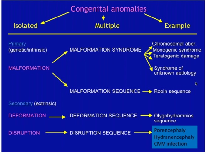 NippoPaul's tweet photo. Congenital brain malformations. Pathology of fetal and neonatal brain lesions - Dr. A Srinivas Rao #paediatricpathology #KAPCON2020 #KCIAPM #pathtwitter @adi_agnihotri @drsupriyatiwari @DrNithyashree @VijayPatho @Thejaspatho @suraksharaob @Swathiprabhu5 @deepnadig @DrRamaswamyAS https://t.co/p0dCuqiB1i