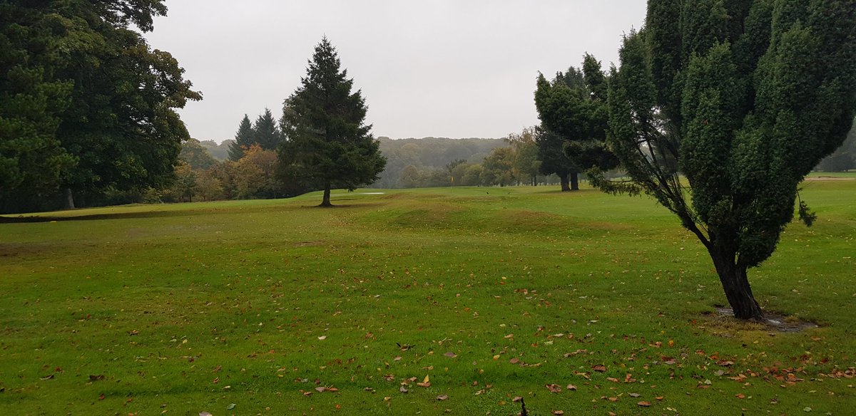 Candy dog still needs walking. Even if the rains are here...