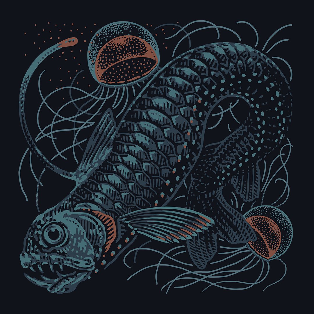 zoekellerdraws's tweet photo. In the Deep | Day 3 of #WildOctoberArt | Stylized Pacific Viperfish and Crossota millsae jellies. After many years focused on detailed work this kind of speedy creating and visual simplification has been challenging in a pretty fun way! 🤯 Drawn in Procreate w/ Studio Pen brush. https://t.co/jFO2pRhIgJ