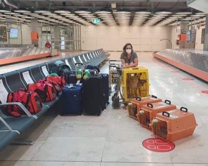 MellanoVha's tweet photo. Esta señora viajó con todos sus animales a España y hay gente que se muda de cuadra y no se los lleva. https://t.co/WuLUvzwpdd