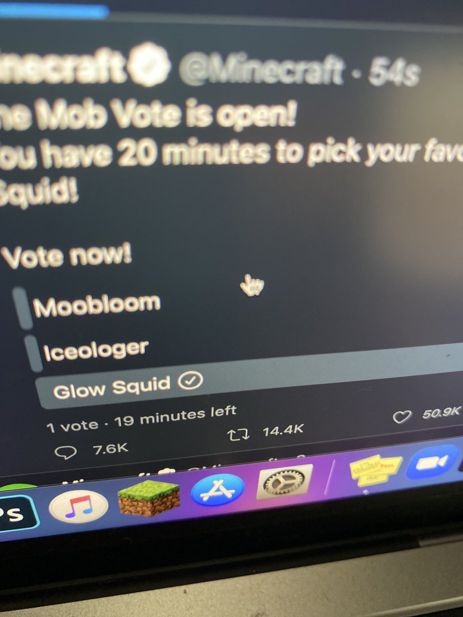 roar_loudly's tweet photo. OMG I voted and it said 1st vote, I can’t believe it!!!! Go Glow Squid!! #Minecraft https://t.co/VO2MClPr6J