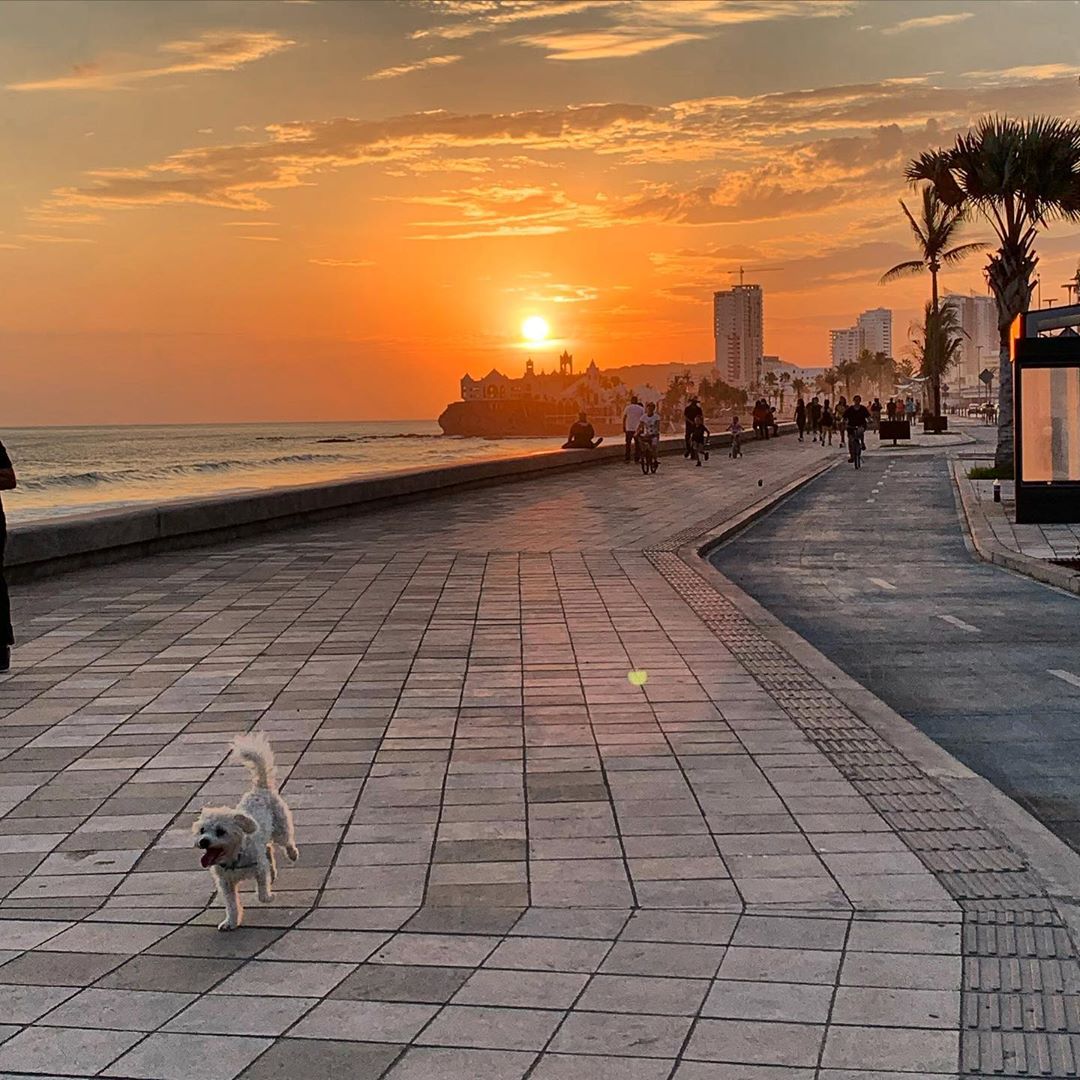 MiLindoMazatlan's tweet photo. OTRA GRAN NOTICIA: #Mazatlán está nominado a ser el mejor destino turístico del #mundo 💪👏👏👏 compite contra ciudades como Dubai, Nueva York, Hong Kong, Londres, Paris entre otros. 😎😎

@QuirinoOC https://t.co/jYIvIXH8xm