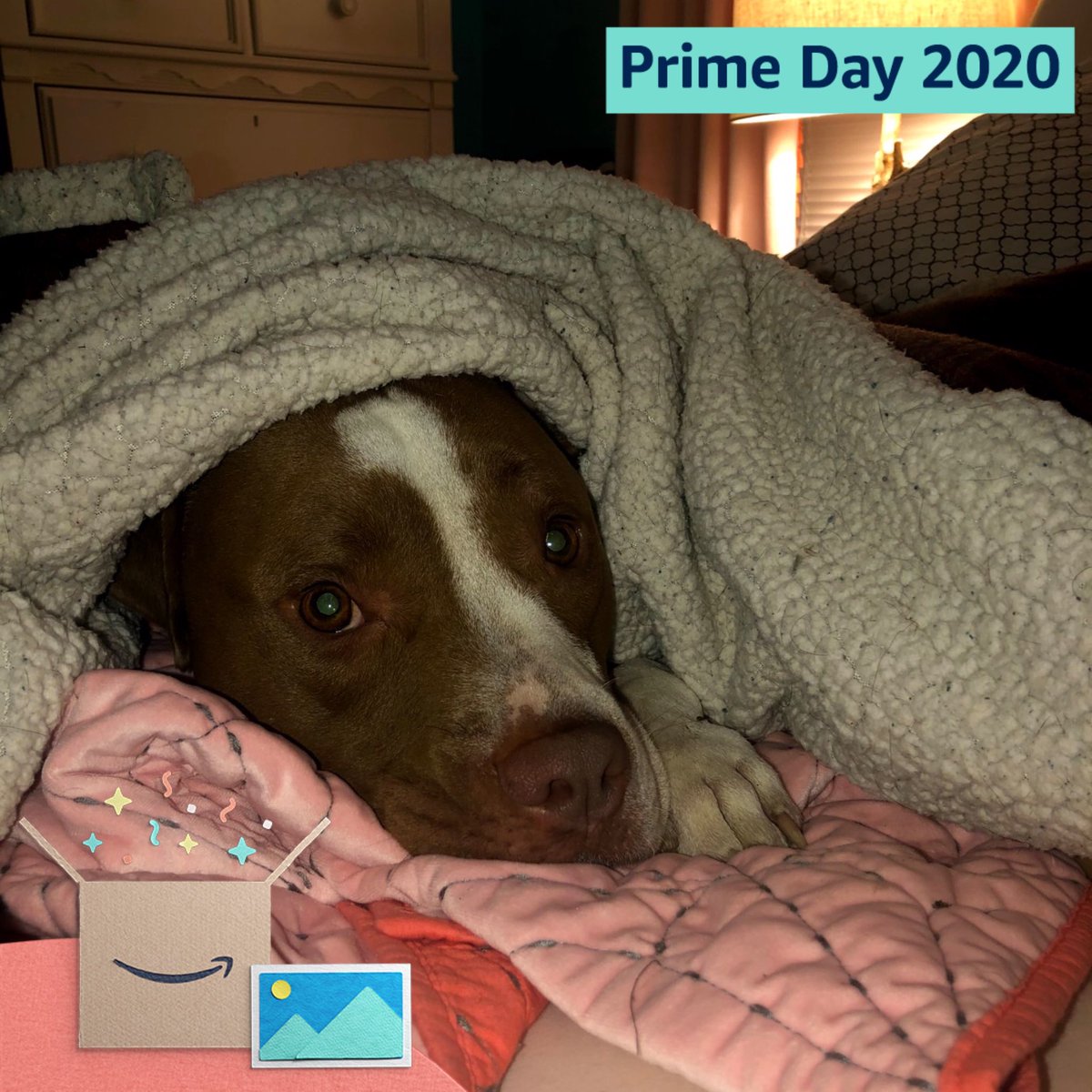katherinekingRN's tweet photo. #PrimeDayPhotos @amazonphotos https://t.co/CeDuscGnId
