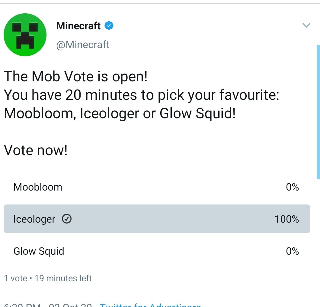 F5P___'s tweet photo. First #MinecraftLive https://t.co/fHK3rPA8xC