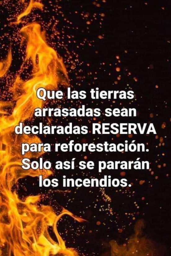 #ParenDeIncendiarnos
#BastadeEcocidio
#LeyDeHumedalesYa 
#LosBajosnoseTocan
#elestadoesresponsable