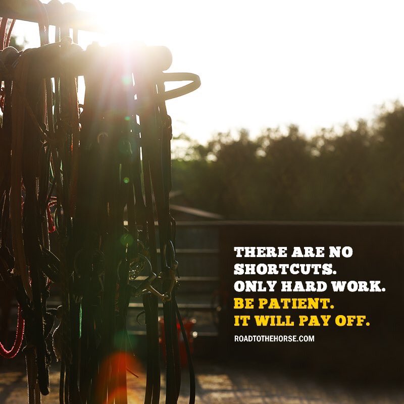 Happy Saturday! #Horsemanship #Committed #Passion