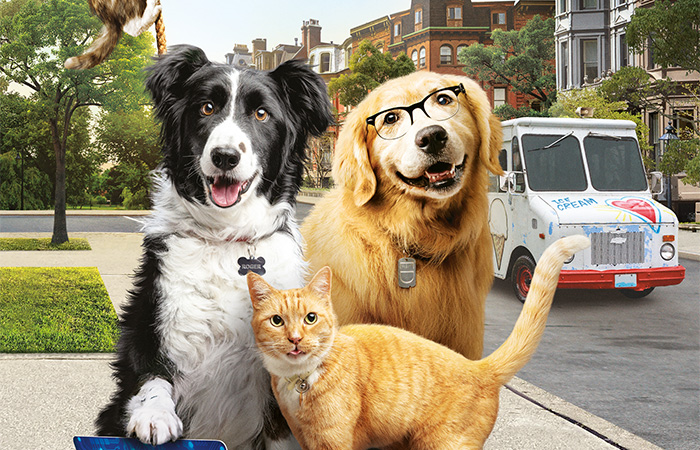 Como perros y gatos 3 — Pelicula en Español Latino (@Como_gatos3) / Twitter