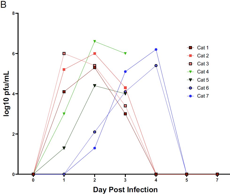 This figure is (loosely) based on data from other viruses in people & SARS-CoV-2 in animals. Here's data from macaques (10.1126/science.abc4776) & cats ( http://www.pnas.org/cgi/doi/10.1073/pnas.2013102117). Looks similar to schematic but not quite identical. Where is the virus-negative period pre-peak?