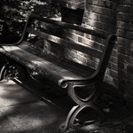 Photo by freedom_photos_freiburg (@FreedomFreiburg)