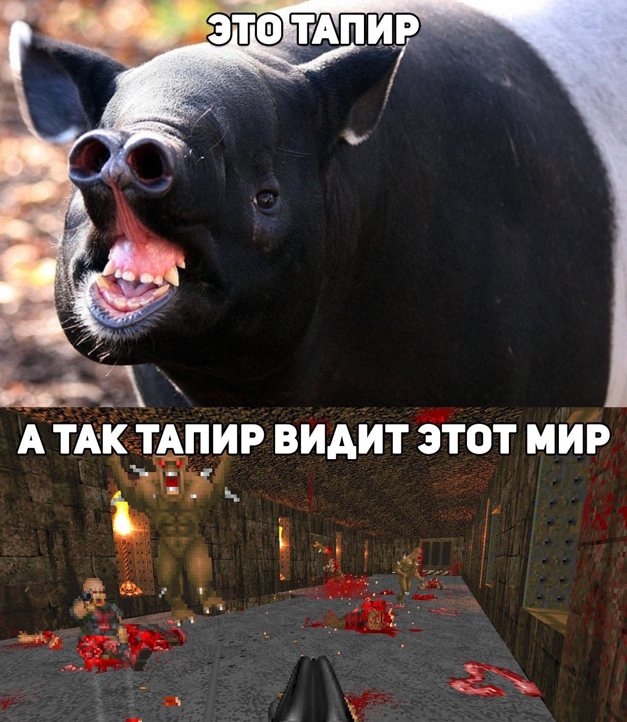 Ejb-trgWkAAyb1h?format=jpg&name=large