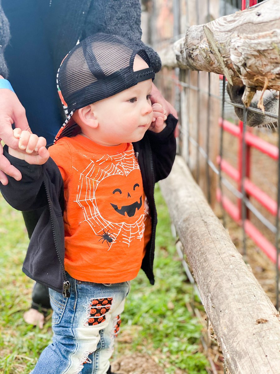 cjsteffens's tweet photo. Celebrating 11 months with pumpkin patches, hayrides, and lattes! #pumpkinpatch #georgehats #besties #fallyall https://t.co/94CSRCxknj