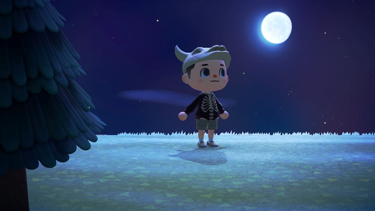 TimeCatCr's tweet photo. #AnimalCrossing #ACNH #NintendoSwitch https://t.co/sTBbAUtb1D