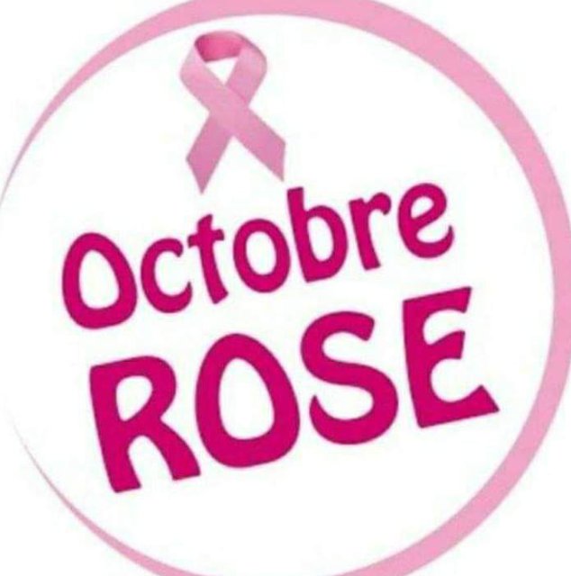 cest le mois octobre la lutte contre le cancer féminin
#Faitezvousdepister