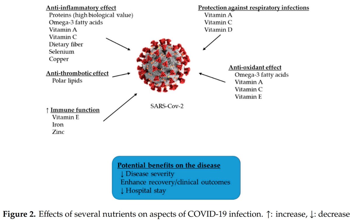 DrChavezDiaz's tweet photo. ¿Por qué se le administró Zinc y Vitamina D a Trump?
La terapia nutricional es parte del tratamiento de primera línea para COVID-19. Para reducir el riesgo y consecuencias de las infecciones, la necesidad de algunos micronutrientes puede ser mayor a la recomendada habitualmente. https://t.co/ecAaKz9UbL