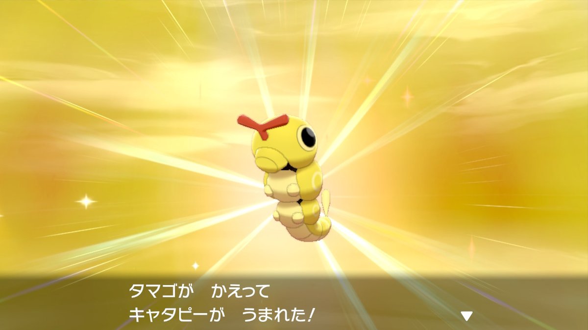 おでこ兄 キャタピー色違い なんか金で高級感があるけど キャタピーなんだよな っていうギャップがいいですw ポケモン剣盾 色違い