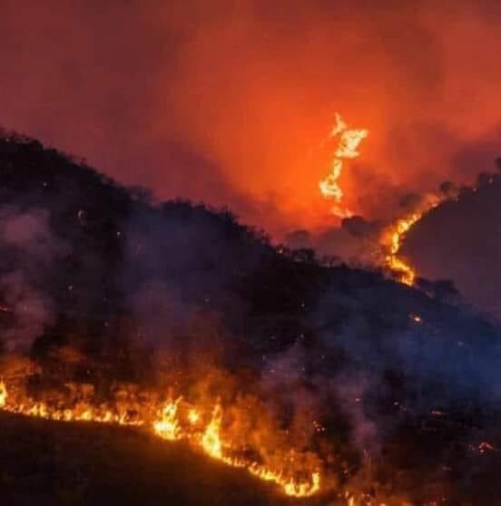 lauvelasco801's tweet photo. Arde Argentina, y mañana es el día internacional del animal, con qué cara se miran al espejo basurasss!!!
#ConLosAnimalesNo
#Biocidio
#ecocidioencordoba
#Genocidio
#agronegocio
BASTA!!!
Llevemos a la justicia a todos los corruptos !!! https://t.co/d59zo4Bv0C