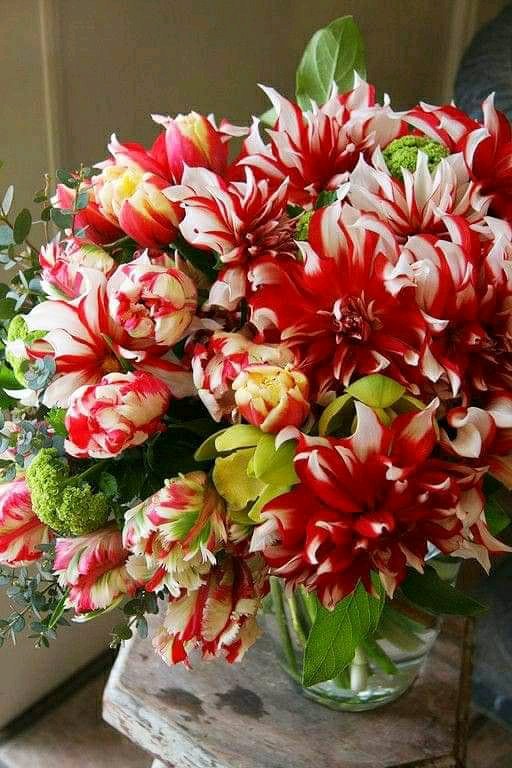 0cjQfTR4CkBT57z's tweet photo. Наслаждайтесь красками осени....удовольствие вашим глазам.... https://t.co/vifRuxEgLp