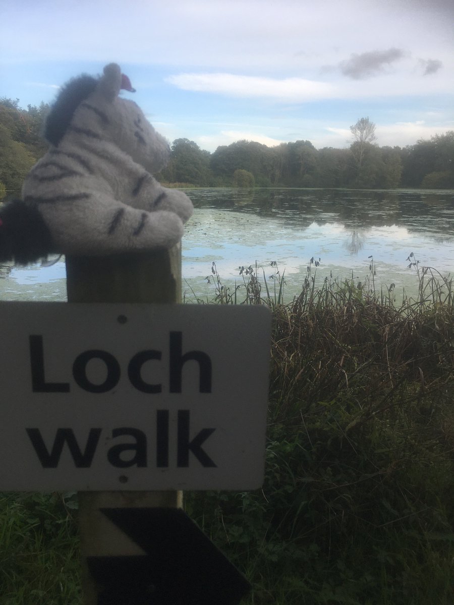 Finally I got to go on holiday...beautiful view from our lodge balcony...Scotland never fails....