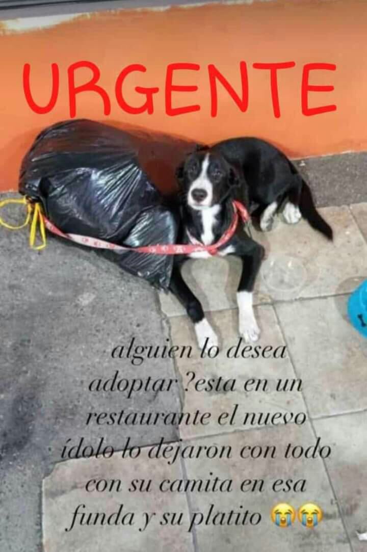 Urgente <a href="/CynthiaViteri6/">Cynthia Viteri</a> 😫😫😫