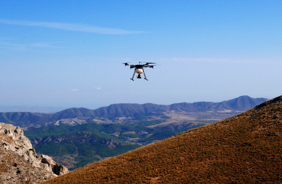 Dronecoria tweet media