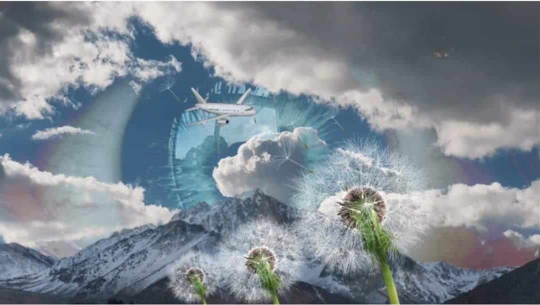 ladyfacesbyele1's tweet photo. #photomanipulation #art #digitalart #picsart https://t.co/mwL4PDYfAZ