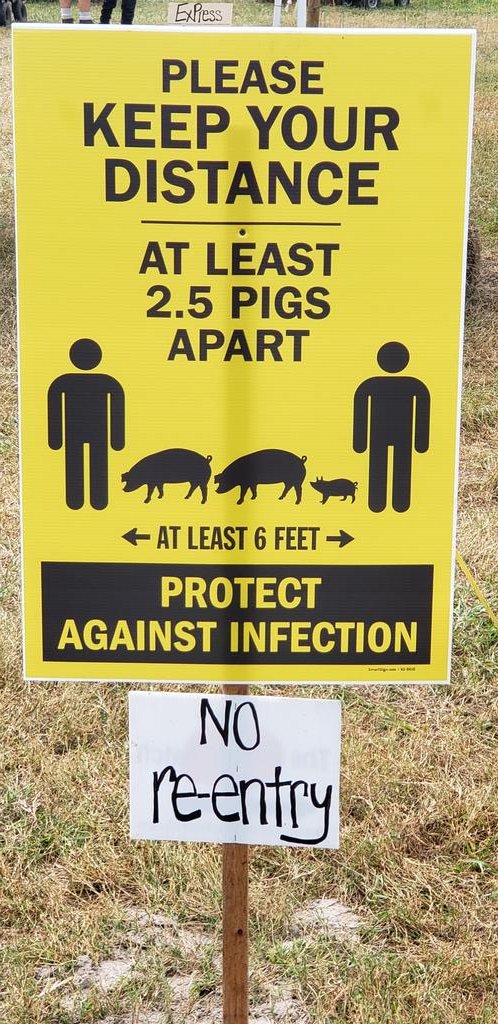 DAllan70's tweet photo. Real world math I learned at the pumpkin patch. I think farm animal conversions need to be added to my curriculum https://t.co/67CspxS8sz