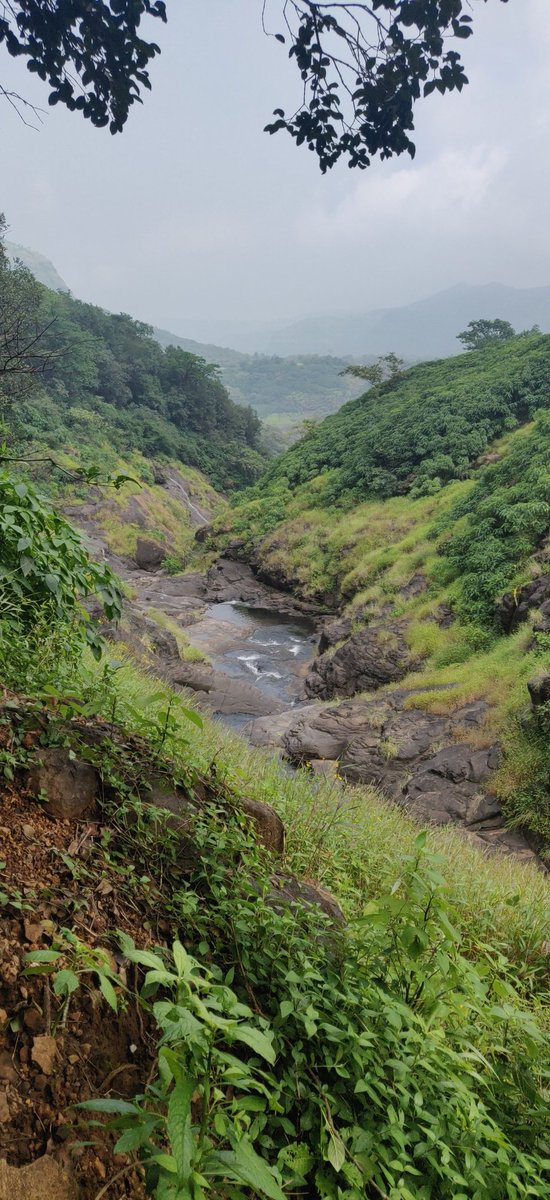 Nature's own home #mulshi #Pune @AUThackeray https://t.co/Sn5o0sveP3