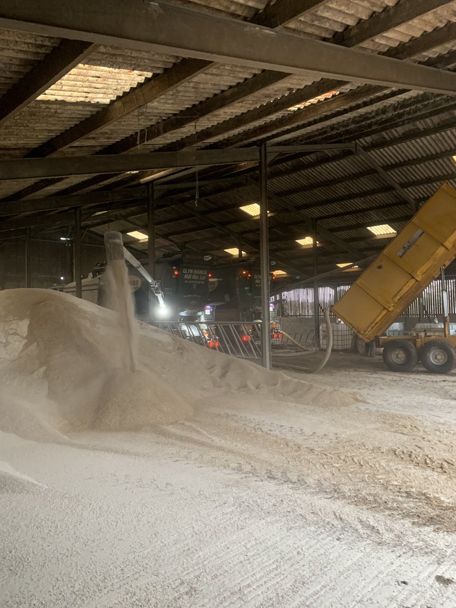 Fair day for Jordan &amp; James rolling 180tonne of barley &amp; mixing with a urea treatment for a dairy farm ready to feed over winter.