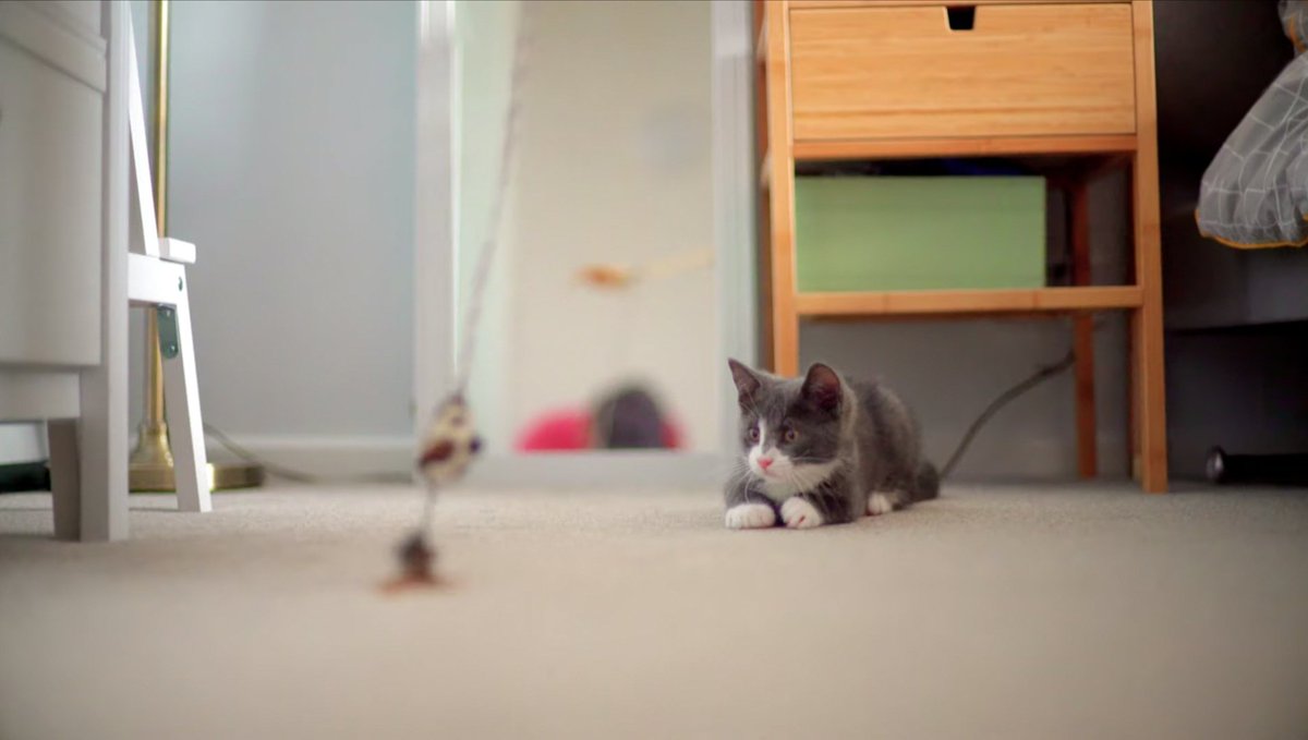 small tiny girl