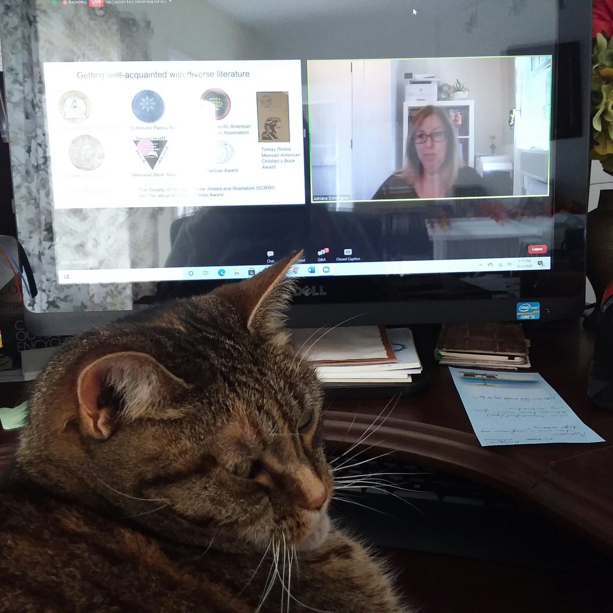 Rene` Diane Aube tweet media