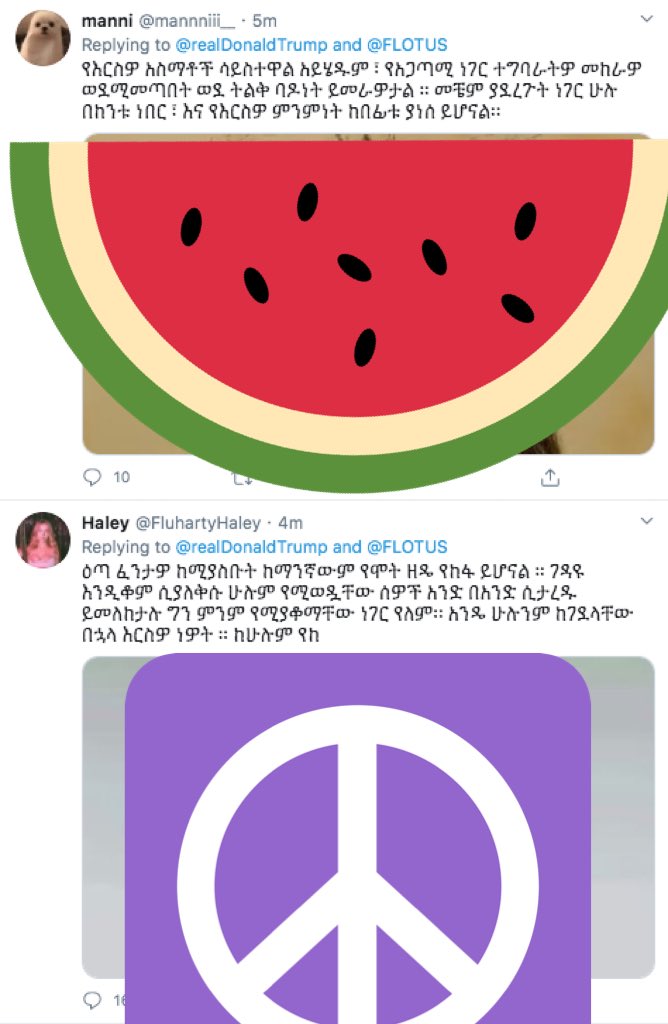 TW // disturbing images a thread on why these type of  messages ARENT okay (focused on specifically the amharic language from an ethiopian-american)
