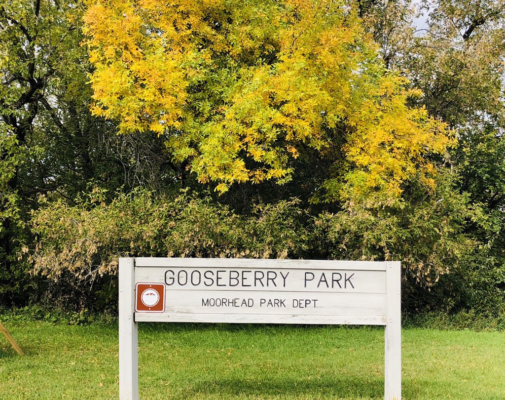 DrBrendaAH's tweet photo. A pleasant surprise this morning, we found the new extended @cityofmoorhead Parks path. #Trails #FallBiking #Outdoors https://t.co/XpCNAhJMfS