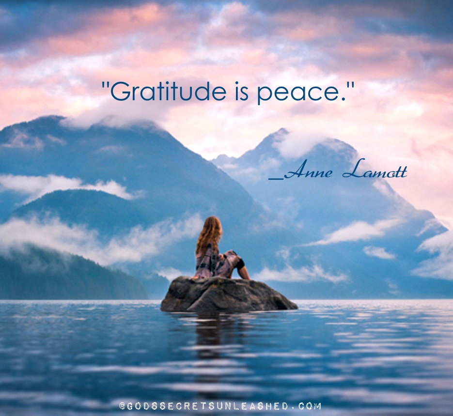 sbraegger11's tweet image. "Gratitude is peace." _Anne Lamott
#gratitude #peace #divine #infinite #universal #energy #spiritual #awareness #growth #purpose #experience #true #self #soul #empowerment