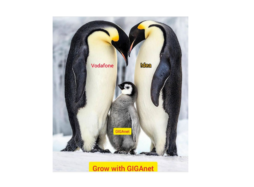 ViZzFans's tweet photo. join V!, give it a few quarters, Grow with GIGAnet,
V! is growing day by day by bridging gaps with customer satisfaction as primary #goal, #grow with ethical Vi.

#vifamily #TogetherforTomorrow #Port2Vi https://t.co/vDYyTK5gxI