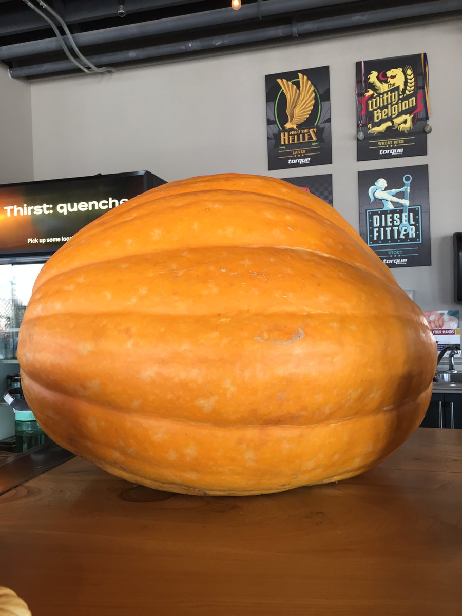 Torque Brewing tweet media