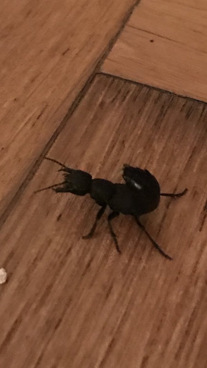 Can anyone tell me what this is