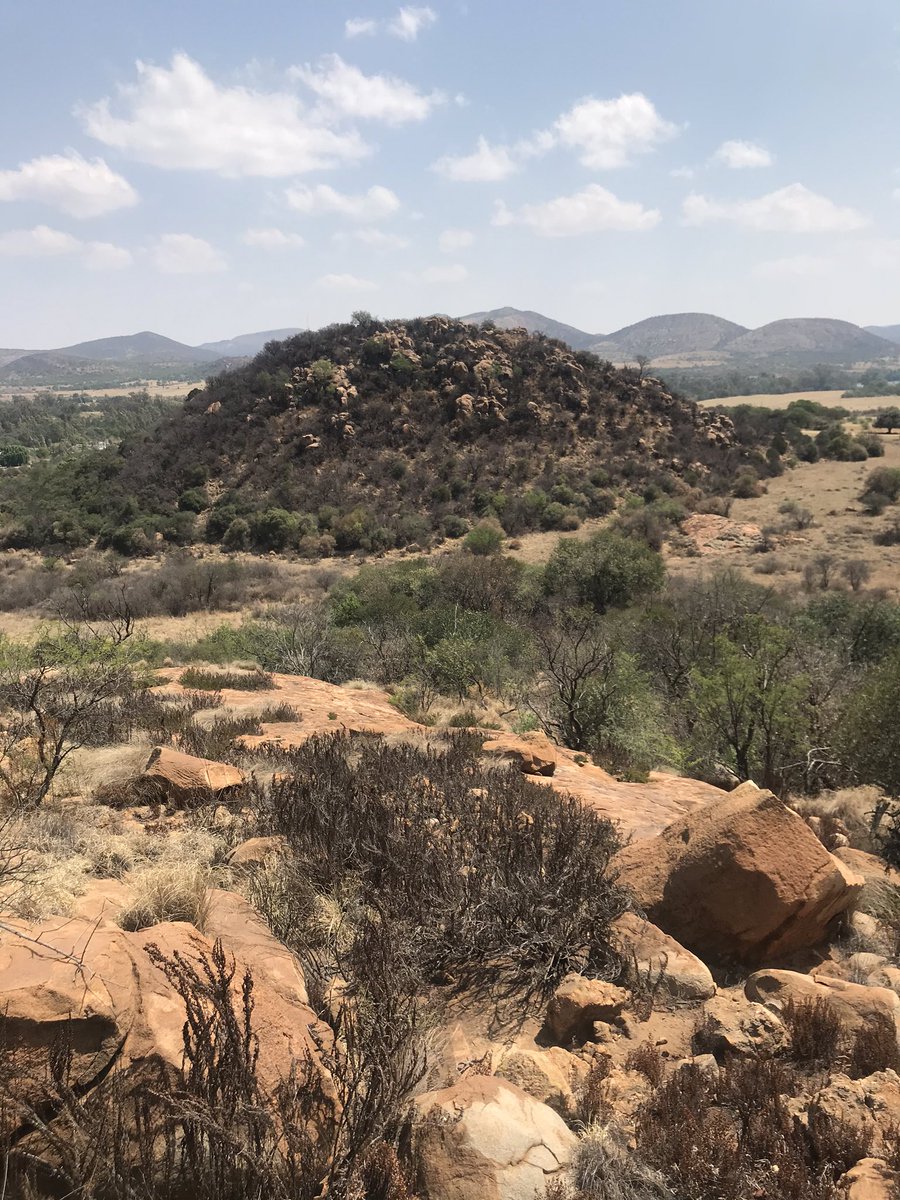 marvin_H96's tweet photo. If you enjoy hiking and want a quiet place to hike and enjoy try Klipdas Boskamp in Parys. It’s a beautiful place with nice views. It’s just R40 cash no swipe. I promise you won’t regret it #BLACKCOFFEE #SpringbokGreen #PoloVivoMswenko https://t.co/2SXgex82hp
