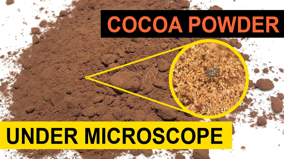 Magnified1000X's tweet photo. Cocoa Powder Magnified Under Microscope

Video: https://t.co/wgk5y6DMfD

#cocoa #cocoapowder #microscopes #digital_microscope #magnification #science #microscopy #closeup #magnifiedundermicroscope #scienceandtechnology #macro #imaging https://t.co/5J8KUQ7Pzb