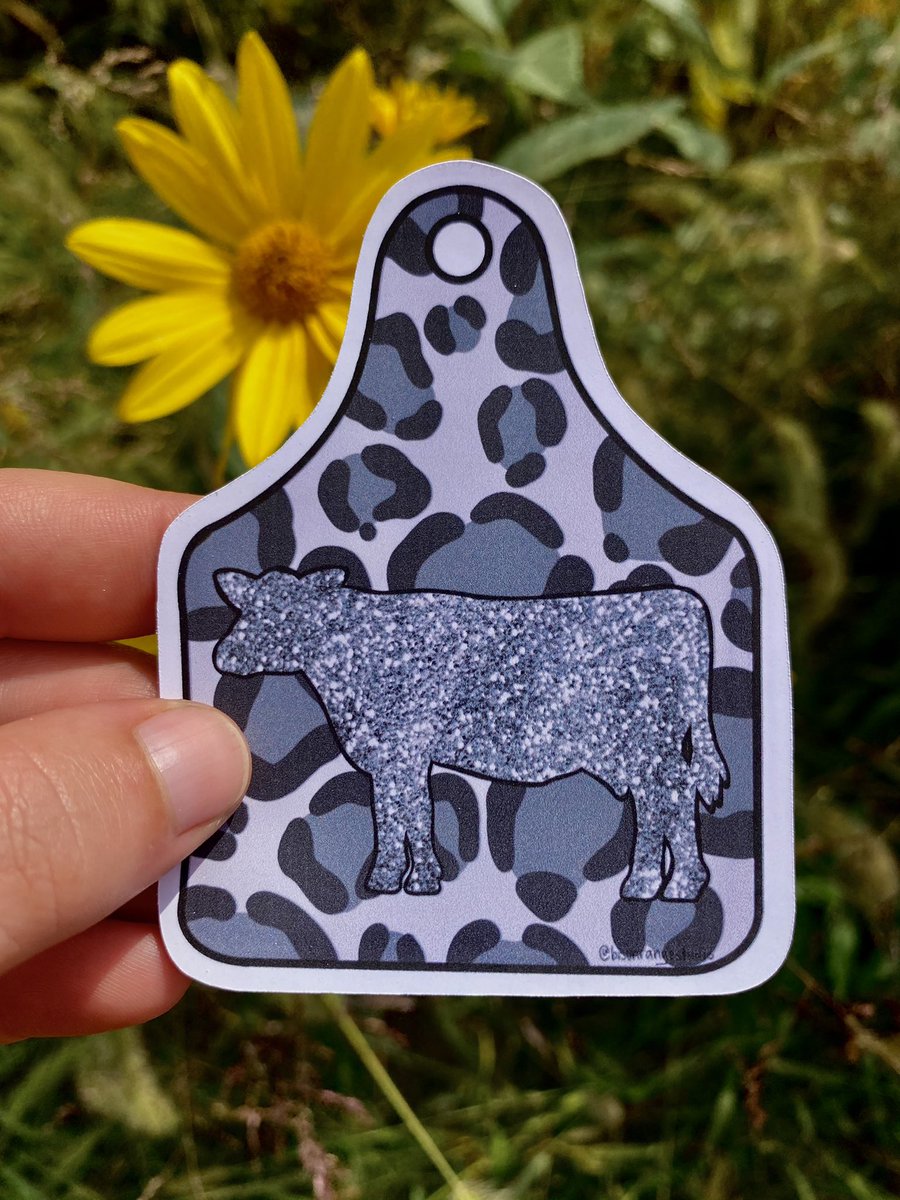 Bison Range Studio tweet media