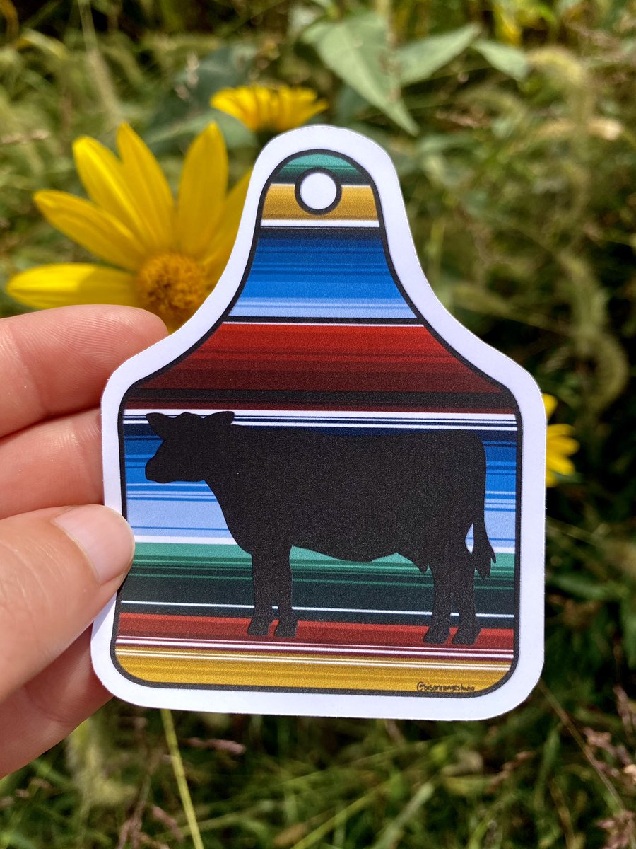 Bison Range Studio tweet media