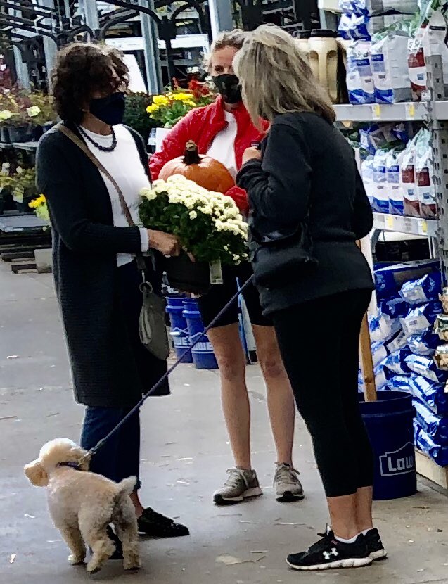 Customers are out shopping for their mums, pumpkins and fall deco’s at Lowe’s #780 Munhall, Pa this afternoon.
<a href="/LBishPlants/">Lora Bishop</a> #Lowes <a href="/BattlefieldFarm/">Battlefield Farms</a> <a href="/TipToeTyler/">Tyler Combs</a> @ToddS_BFF @AlanFBattlefie1