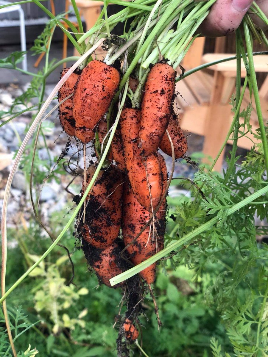 Walden E. Leif tweet media